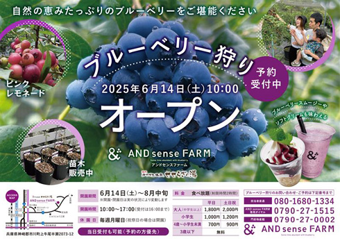 2025年度　AND sense FARM（アンドセンスファーム） ブルーベリー狩り